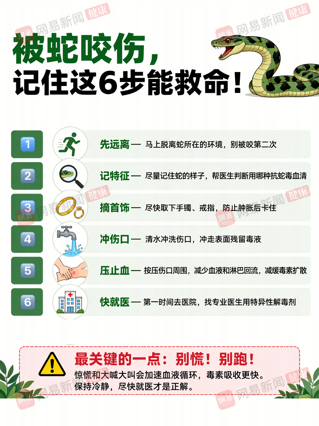 毒蛇.png
